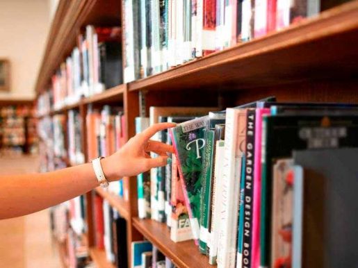 Setor editorial e de livros registra expansão de 13% no País